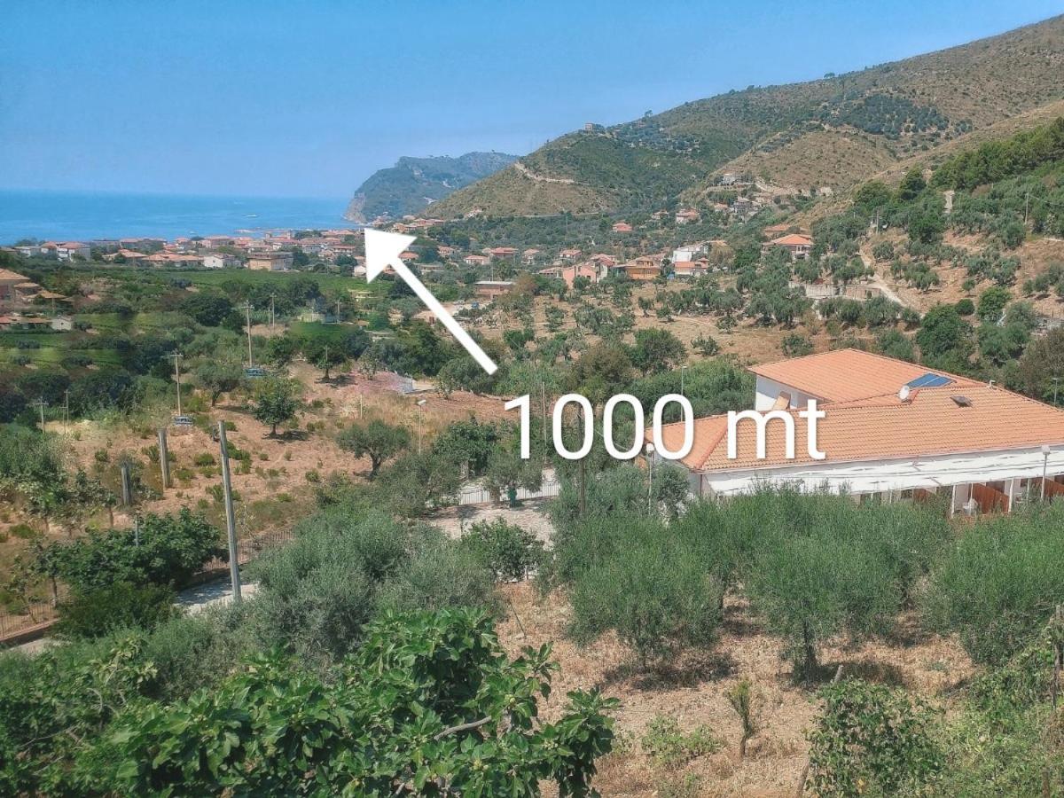 Tenuta Marga Agnone Cilento